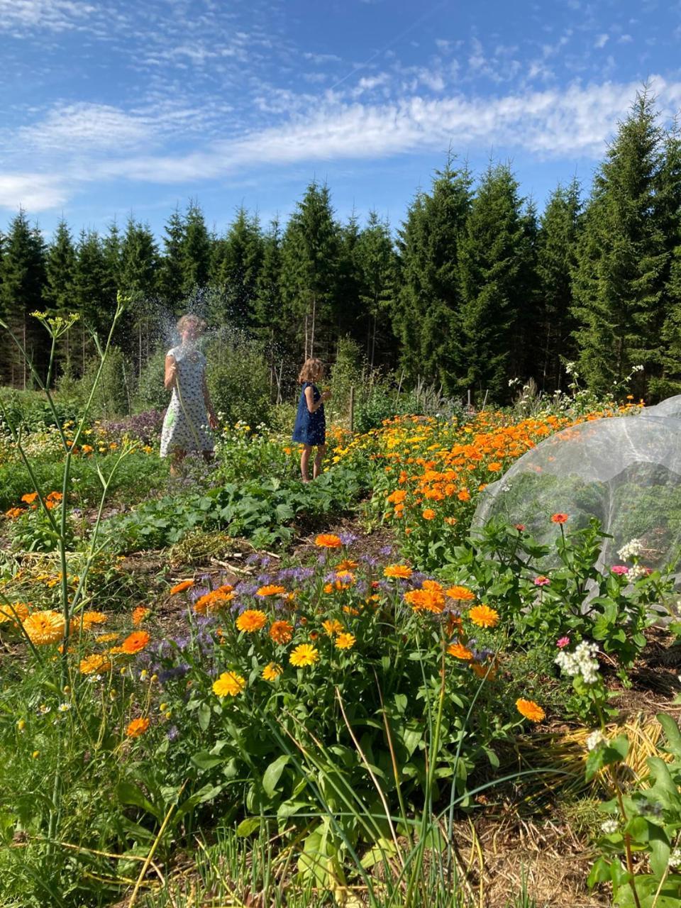 Bed and Breakfast Escape To Paulssonpaleo Simlangsdalen Экстерьер фото