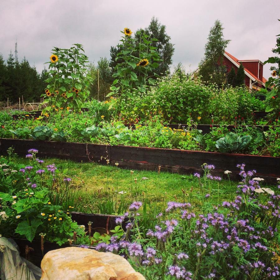 Bed and Breakfast Escape To Paulssonpaleo Simlangsdalen Экстерьер фото