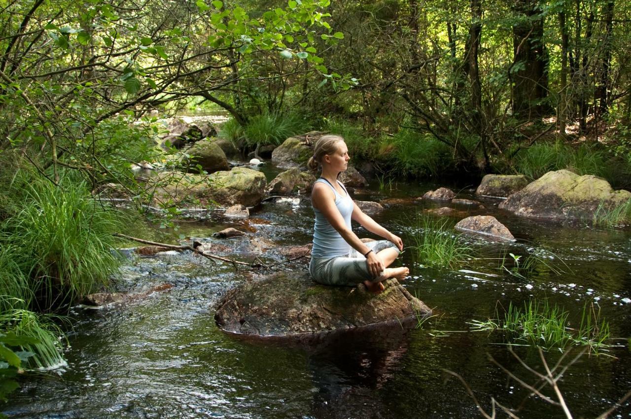 Bed and Breakfast Escape To Paulssonpaleo Simlangsdalen Экстерьер фото